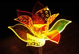 Гунилла и её цветок