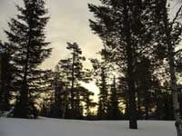 Фото Наташи