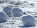 Снежные шарики