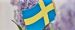 Национальный День Швеции и День шведского флага