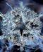 Снежинка в макро-масштабе